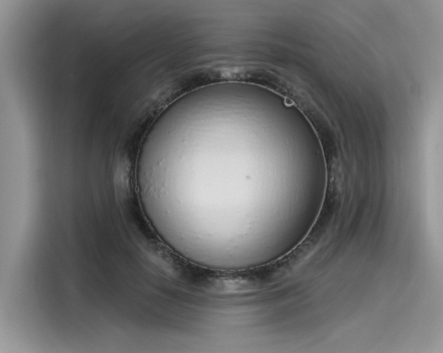 X0000116110650200911301124