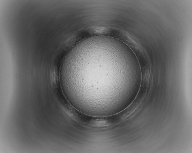 X0000116110651200911301124