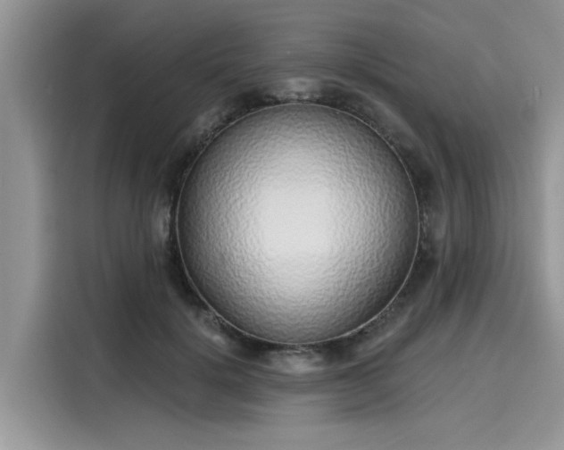 X0000116110652200911301124