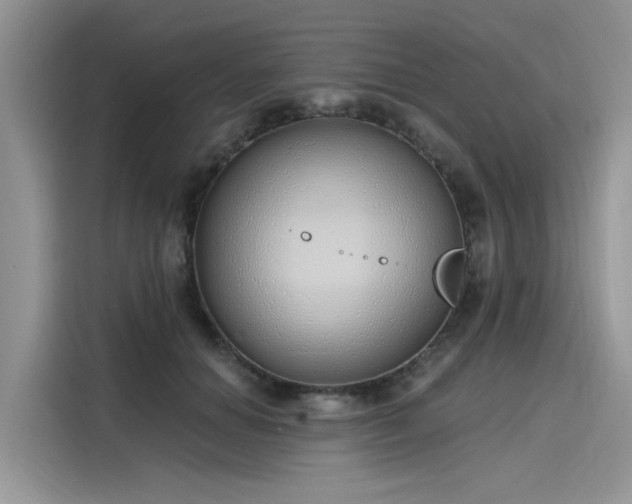 X0000116110654200911301124