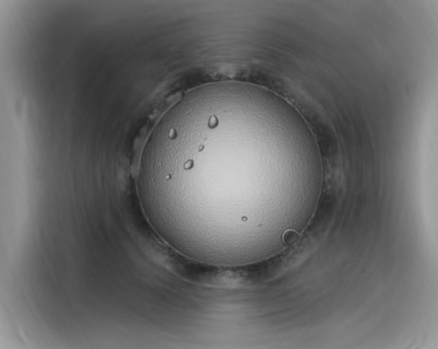 X0000116110656200911301124