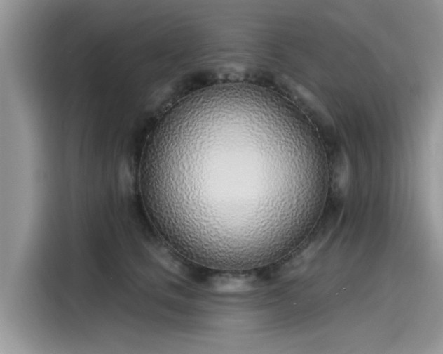 X0000116110661200911301124