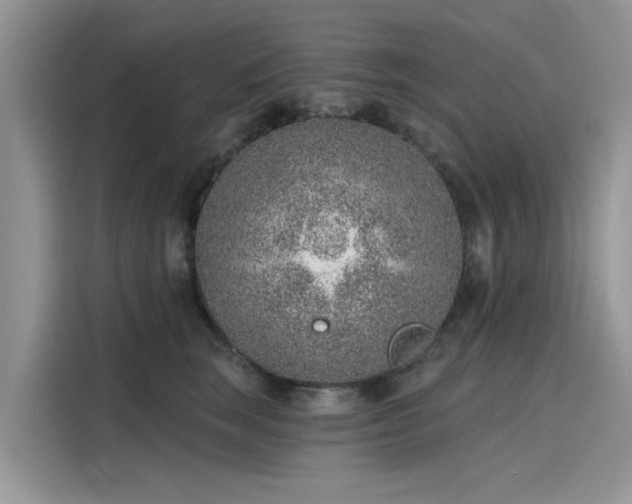 X0000116110663200911301124