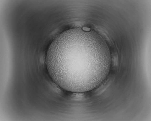 X0000116110665200911301124