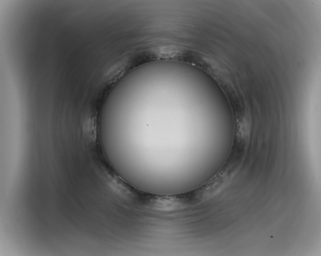 X0000116110666200911301124