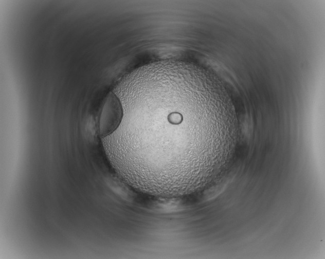 X0000116110667200911301124