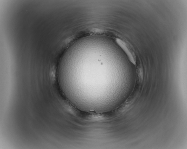 X0000116110668200911301124