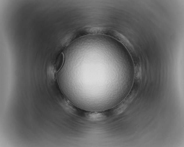 X0000116110669200911301124