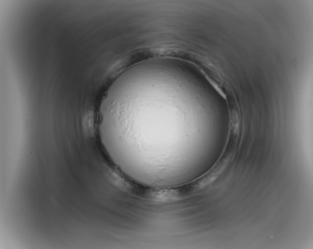 X0000116110670200911301124