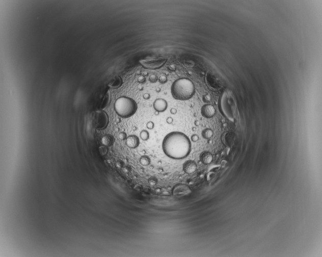 X0000116110671200911301124