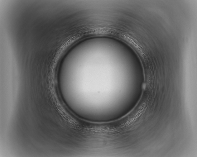 X0000116110673200911301123