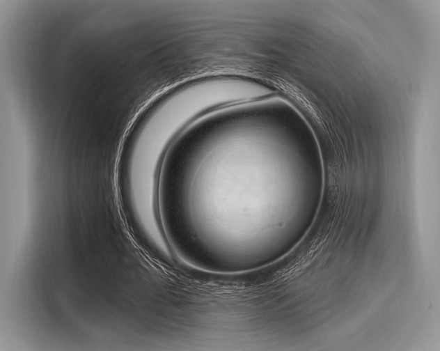 X0000116110676200911301123