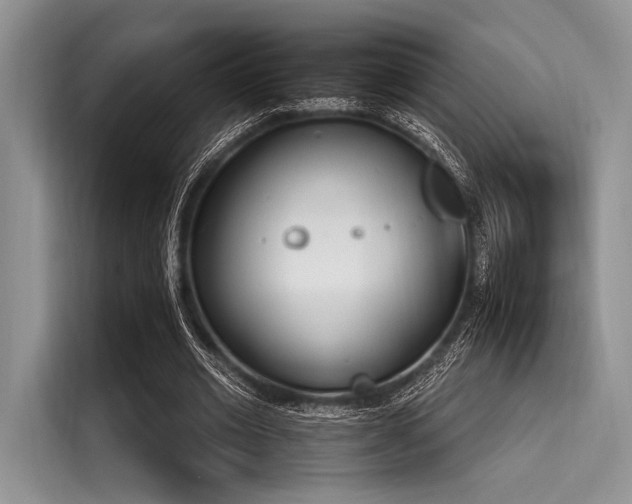 X0000116110677200911301123