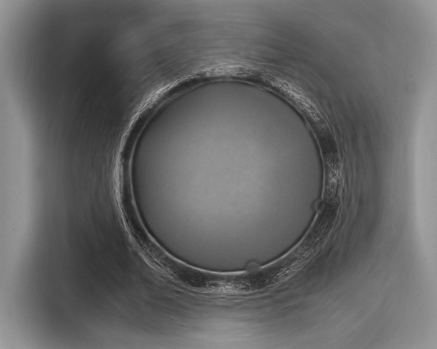 X0000116110678200911301123