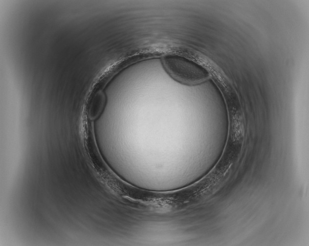 X0000116110680200911301123