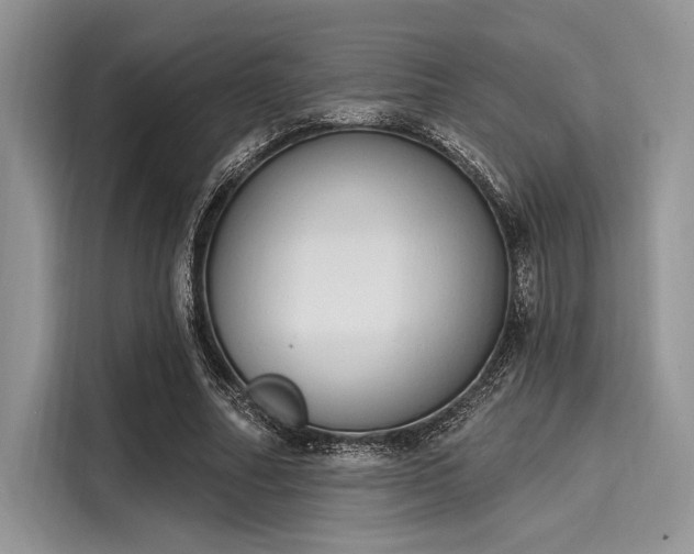 X0000116110682200911301123