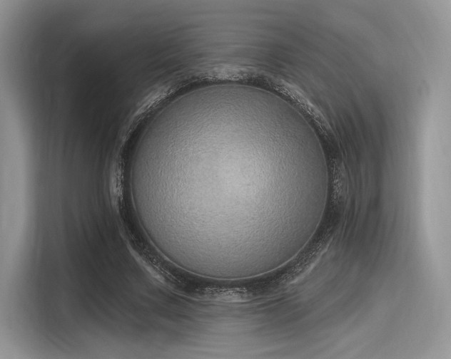 X0000116110683200911301123