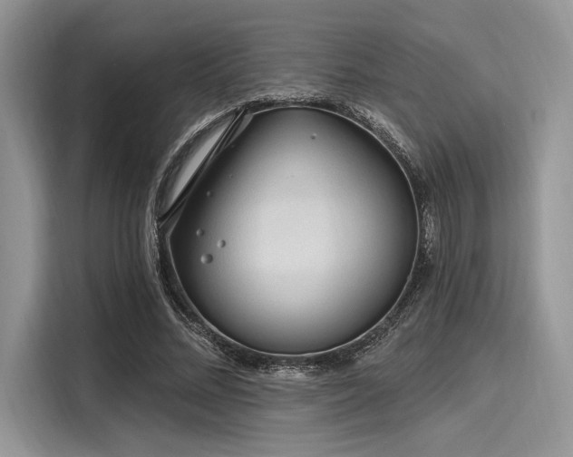 X0000116110684200911301123