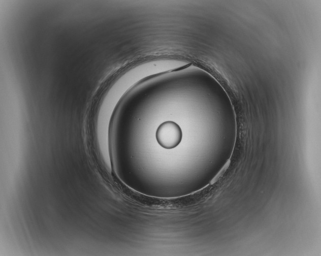 X0000116110688200911301123