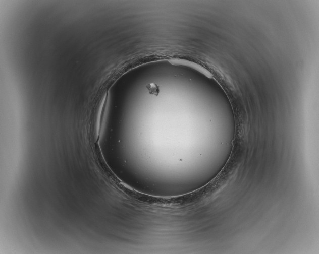 X0000116110689200911301123