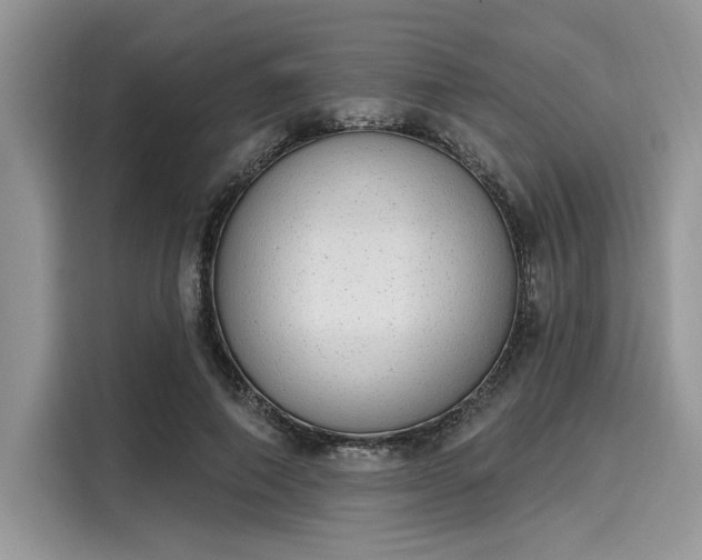 X0000116110690200911301123