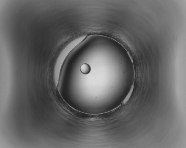 X0000116110692200911301123