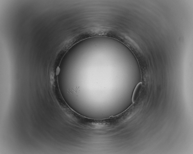 X0000116110693200911301123