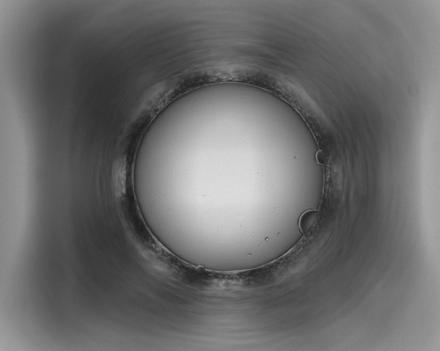 X0000116110694200911301123