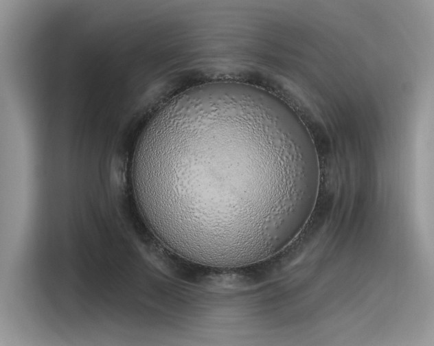 X0000116110695200911301123