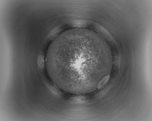 X0000116110696200911301123