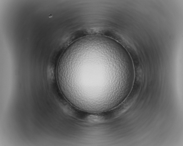 X0000116110699200911301123