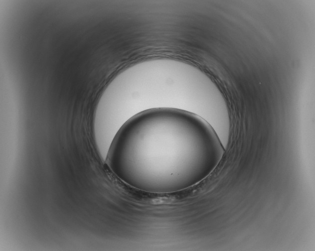 X0000116110700200911301123