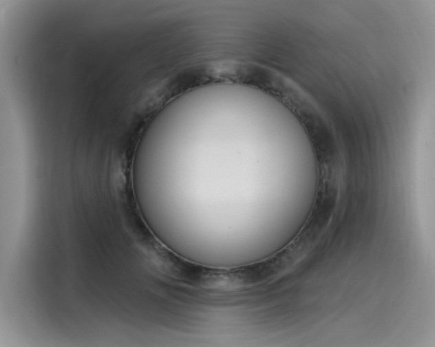 X0000116110702200911301123