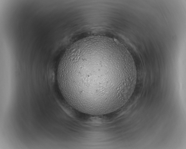 X0000116110703200911301123