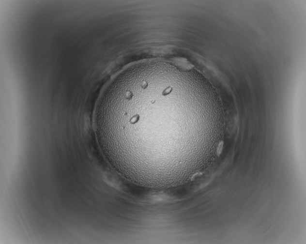 X0000116110704200911301123