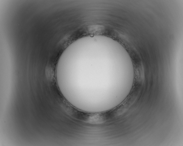 X0000116110705200911301123