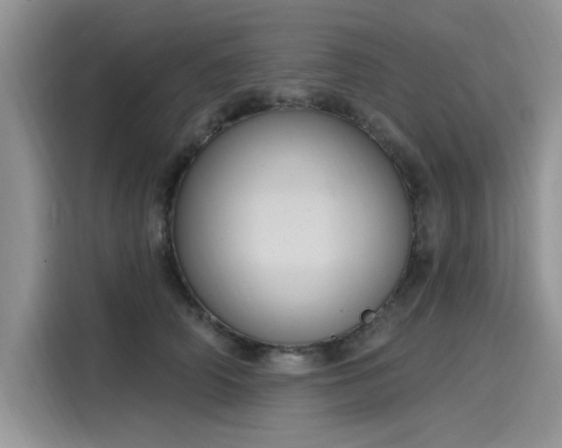 X0000116110706200911301123