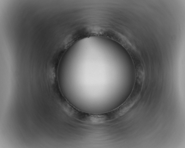 X0000116110707200911301123