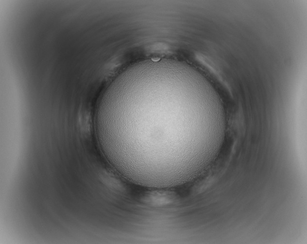 X0000116110708200911301123