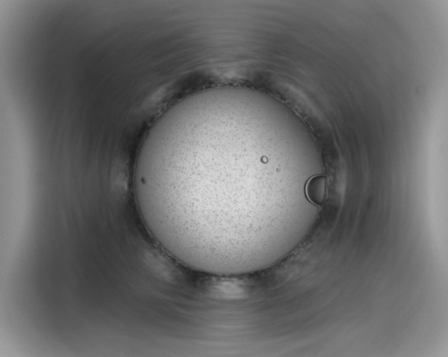 X0000116110710200911301123