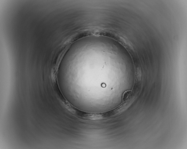 X0000116110719200911301123