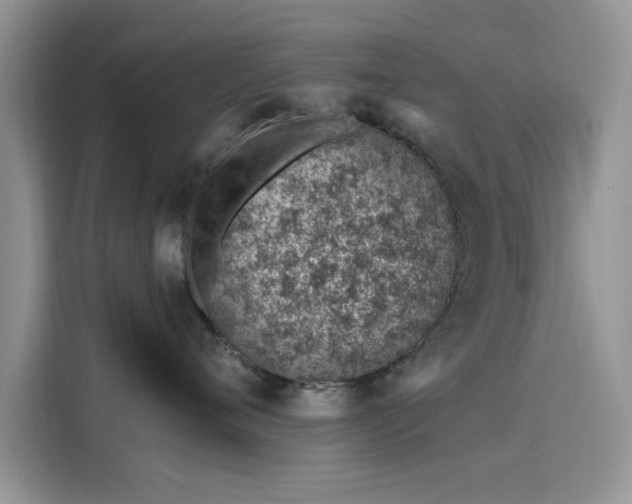 X0000116110720200911301123