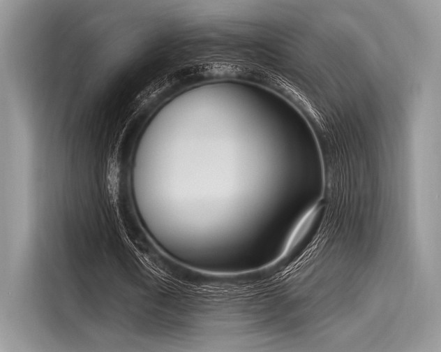 X0000116110722200911301122