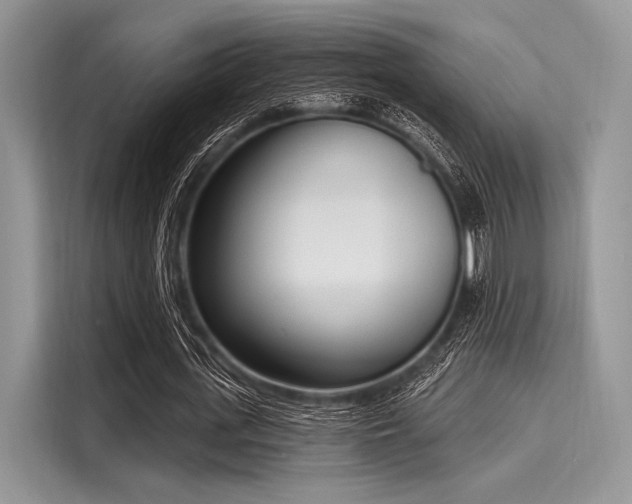 X0000116110723200911301122