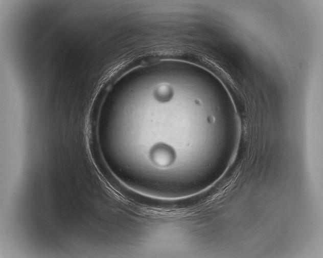 X0000116110725200911301122