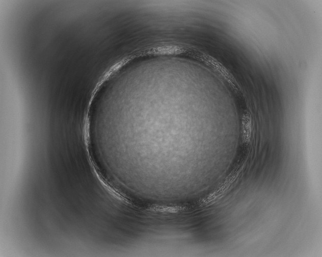 X0000116110726200911301122