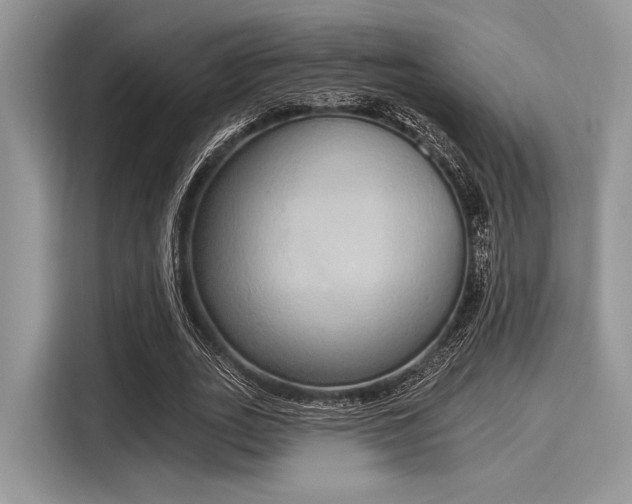 X0000116110727200911301122