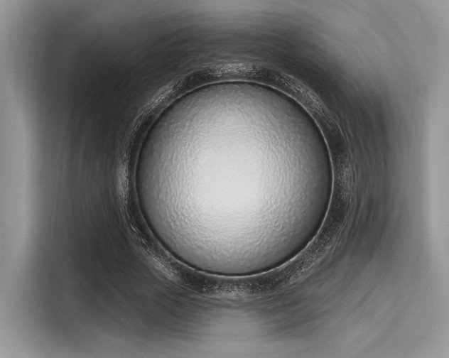 X0000116110729200911301122