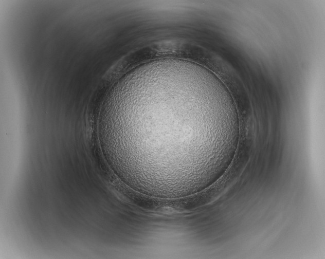 X0000116110737200911301122