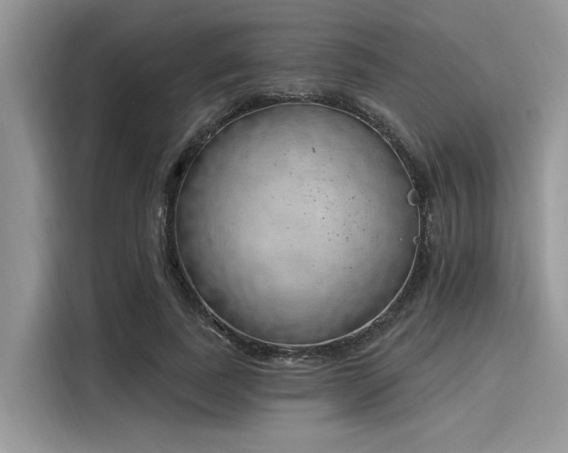 X0000116110739200911301122